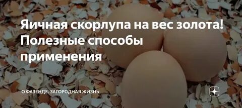 Можно ли давать скорлупу