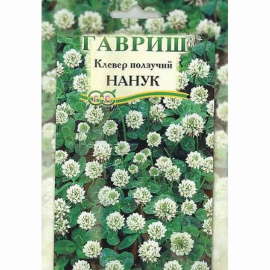 Семена клевера белого ползучего. Клевер ползучий белый Нанук Гавриш. Газон Клевер белый ползучий Нанук 20г Гавриш. Клевер белый Нанук 20г (г). Клевер белый ползучий Нанук 20гр.