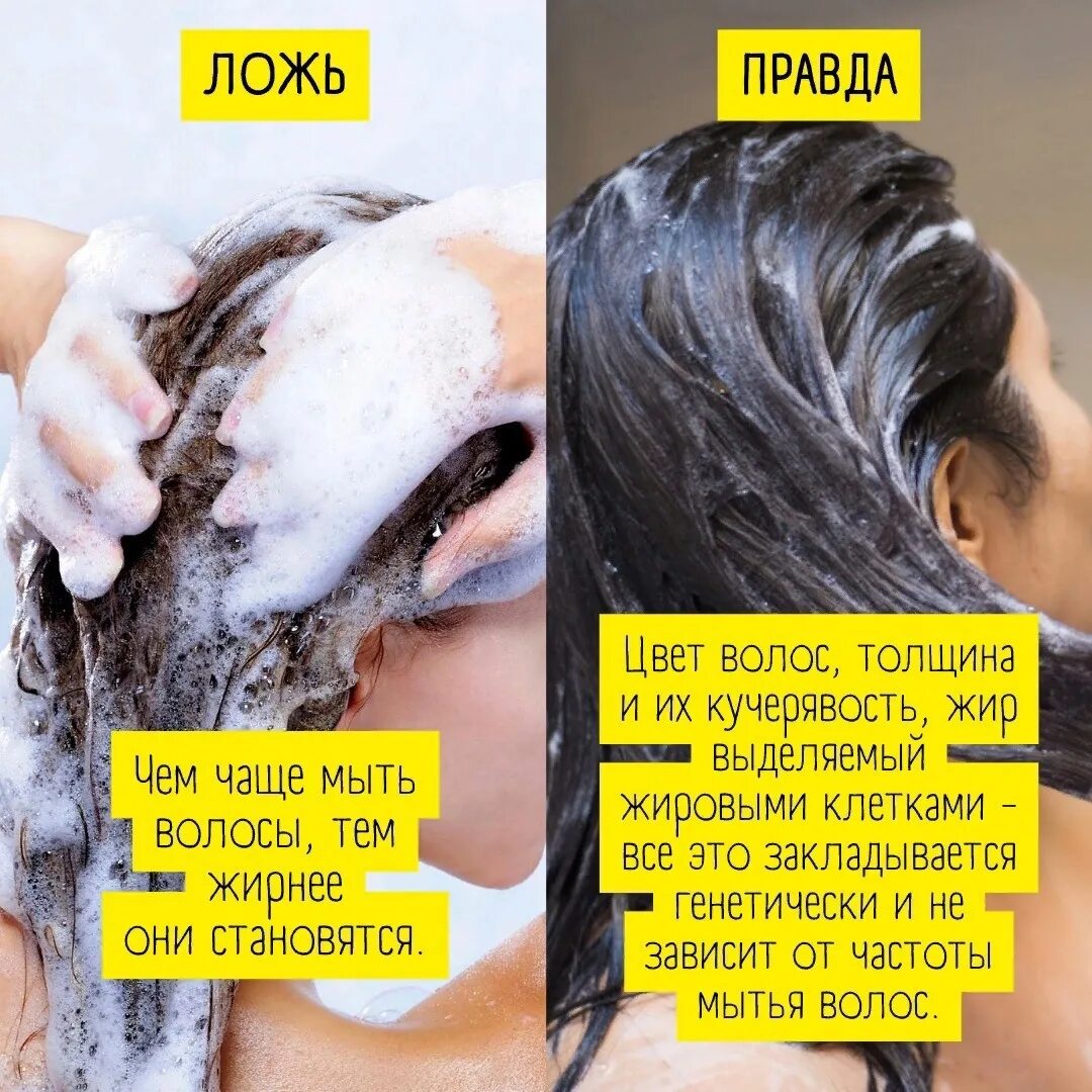 Мифы о волосах. Волосы пачкаются. Волосы пачкаются часто. Что будет если часто мыть голову. Почему нельзя часто мыть