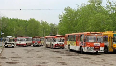 Автобусы слева