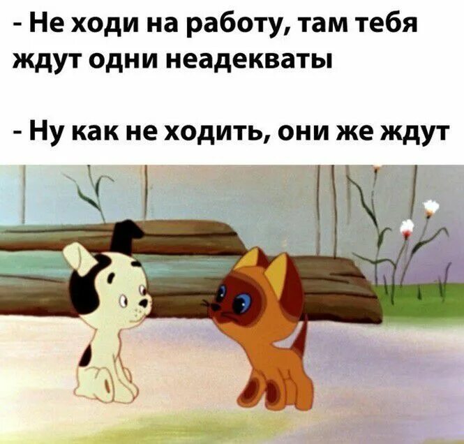 Шарик из мультфильма котенок гав. Кот из мультика котенок гав. Они же меня. Они же меня. Котенок по имени гав неприятности.
