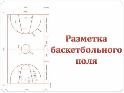 Размеры баскетбольной площадки м в баскетболе