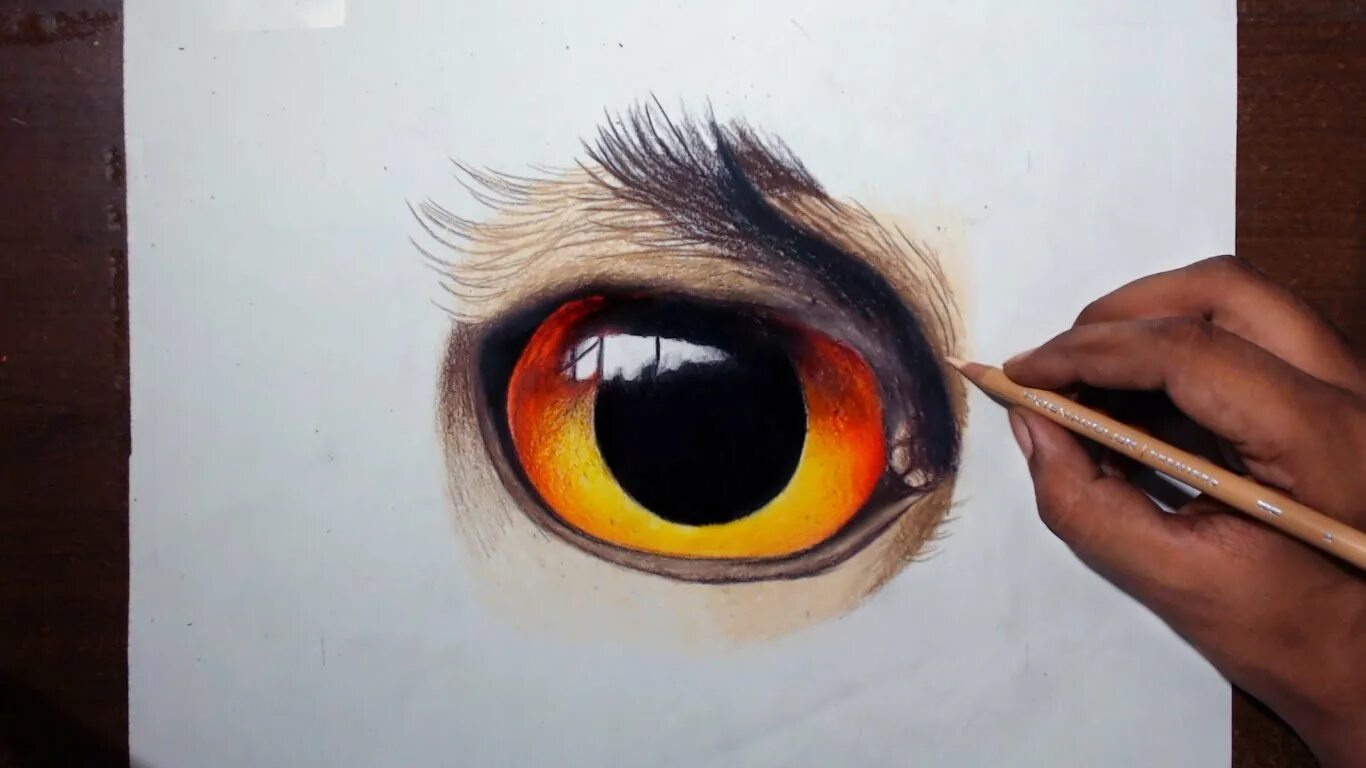 Глаза для рисования. Глаза рисунок. Глаз цветными карандашами. Глаз животного цветным карандашом.