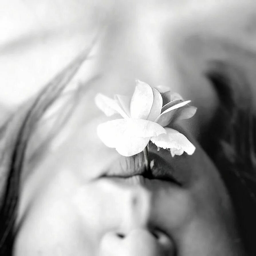 Красивое молчание. Цветок во рту. Девушка с цветком во рту. Фотосессия с цветком во рту. Девушка с цветком во рту Эстетика.