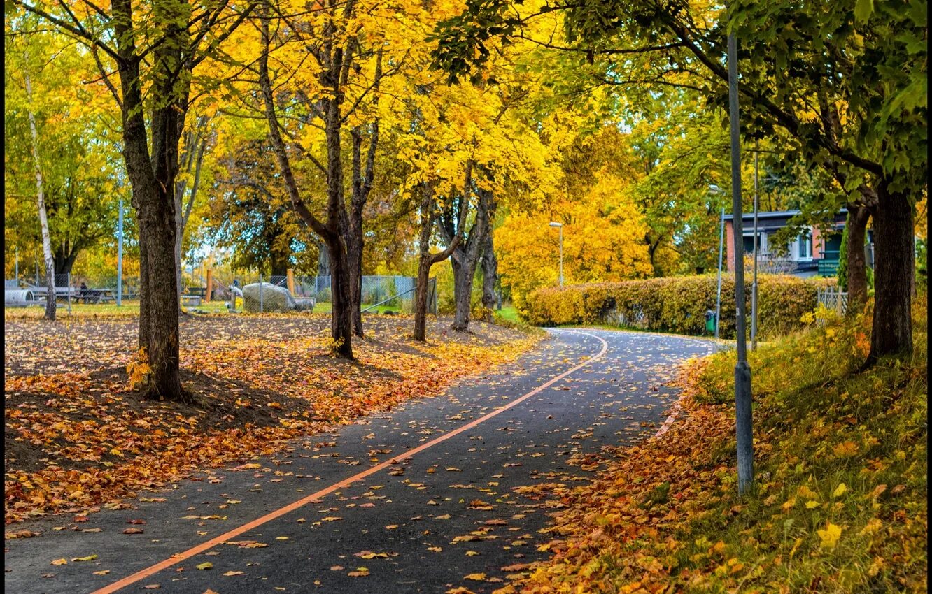 Осенний городской парк фото Осенний парк / Осенние прогулки в сказочном парке