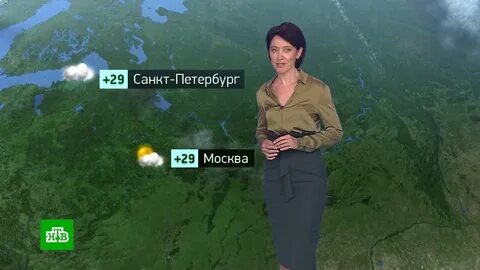 Метео тренд