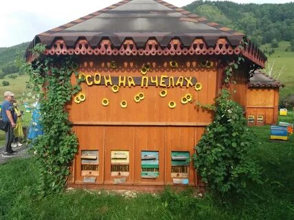 Медом в ухо пасека