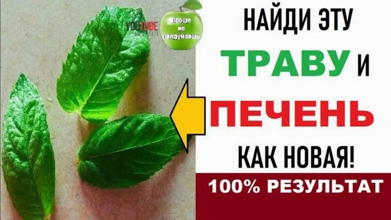 Народный способ лечения печени