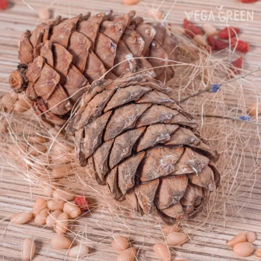 Кедровая шишка с орехами. Шишка с кедровыми орешками. Кедровые шишки и орешки. Пинии кедровые орехи. Кедровая шишка с орехами.