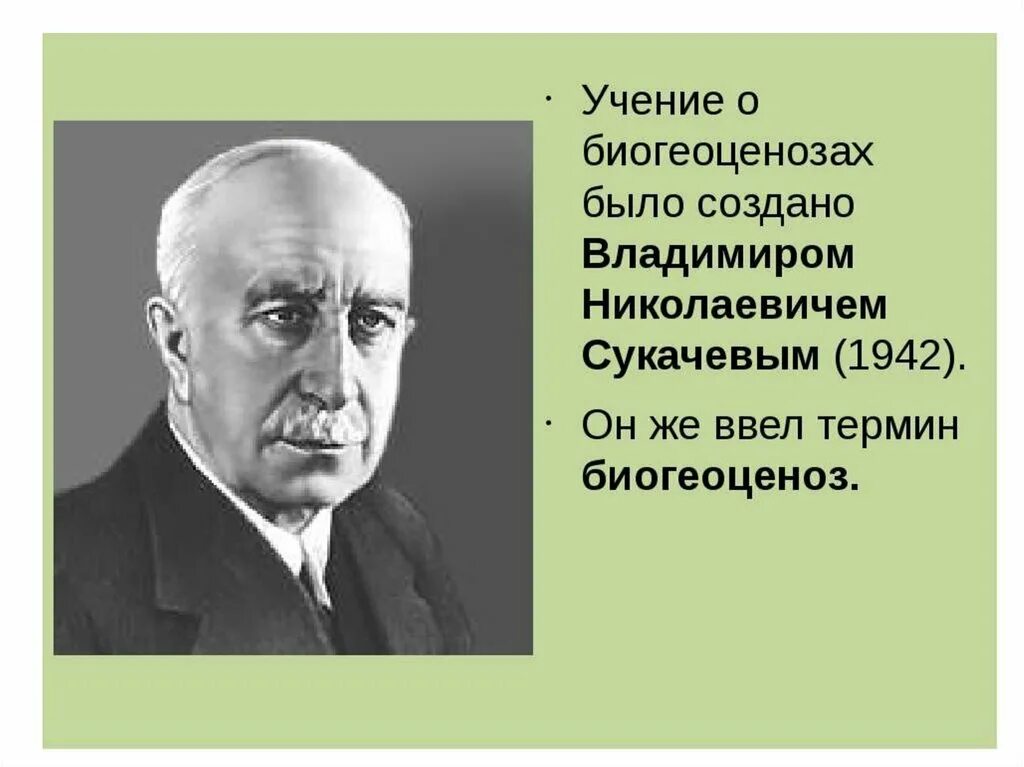Н сукачев вклад в развитие экологии. Владимир николаевич сукачев вклад в биологию. сукачёв владимир николаевич биогеоцкноз. биогеоценоз сукачев владимир николаевич. владимир николаевич сукачёв вклад в экологию.