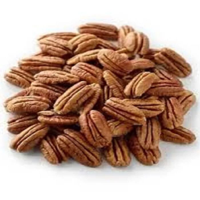 как выглядит орех пекан. орех пекан буссерон. пекан белый орех. орех маньчжурский пекан. как выглядит орех пекан.