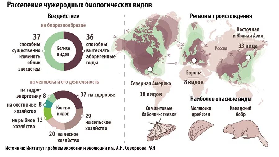 Сокращение биологического разнообразия. Причины сокращения биологического разнообразия. Сокращение биоразнообразия статистика. Сокращение разнообразия биологических видов