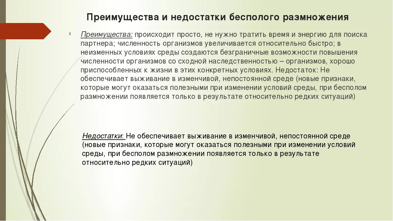 Какое значение для организма имеет размножение