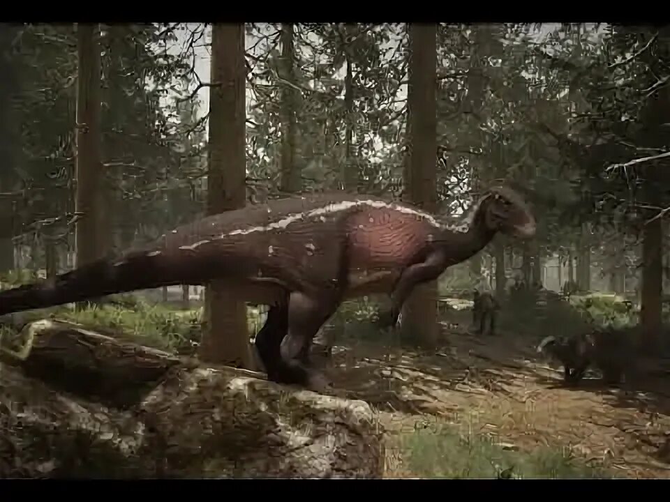 Maximus rex о р д а