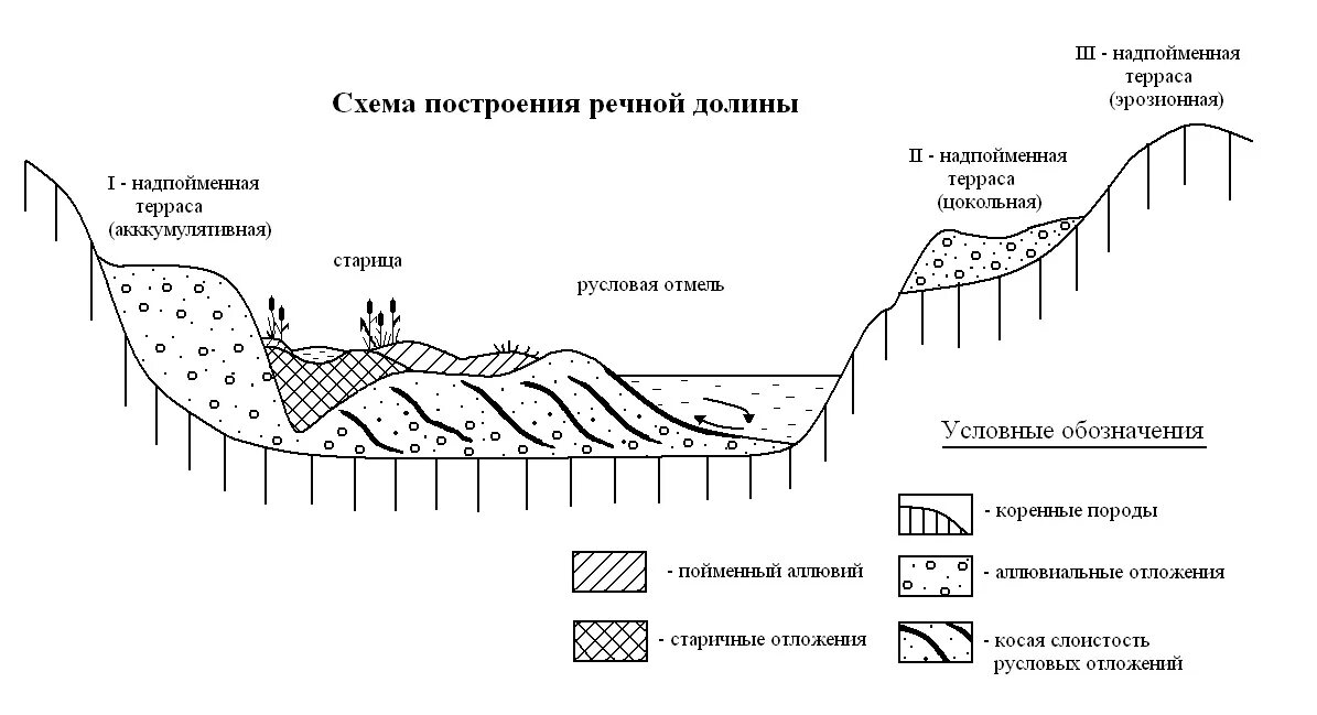 Морфологическая структура водоема. Элементы Речной Долины схема. Геоморфологические элементы строения Речной Долины. Поперечный профиль Речной Долины схема. Экологические зоны рек схема.