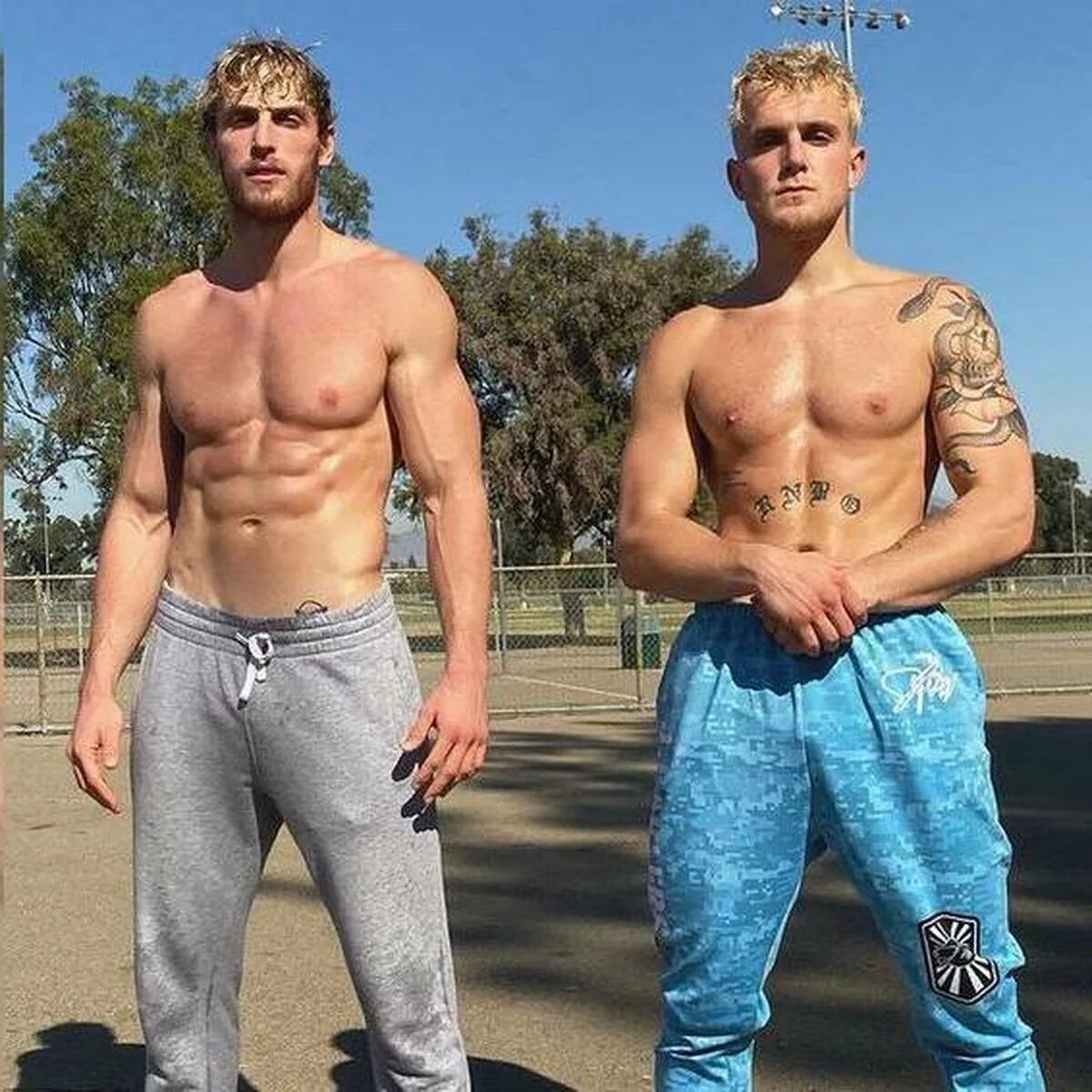 Логан пол и Джейк пол. Джейк пол и Логан пол братья. Братья Paul и Logan Paul. Jake Paul рост. Блогера пола