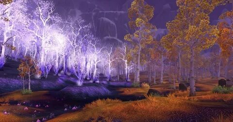Forest 10