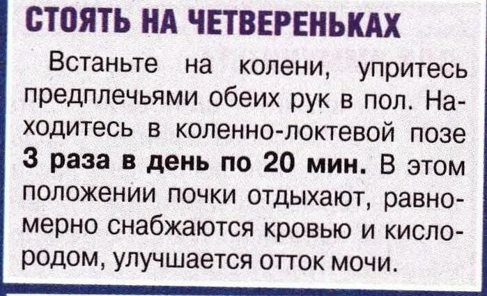 Чего не любят почки человека. Продукты которые любят почки. Что любят почки. Что полезен для почки человека. Почки и сладость