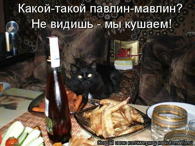 Мультфильм павлин мавлин мюнхгаузен. Шашлык из тебя будет. Какой павлин мавлин не видишь. Павлин мавлин барон мюнхгаузен. Павлин мавлин не видишь мы кушаем.