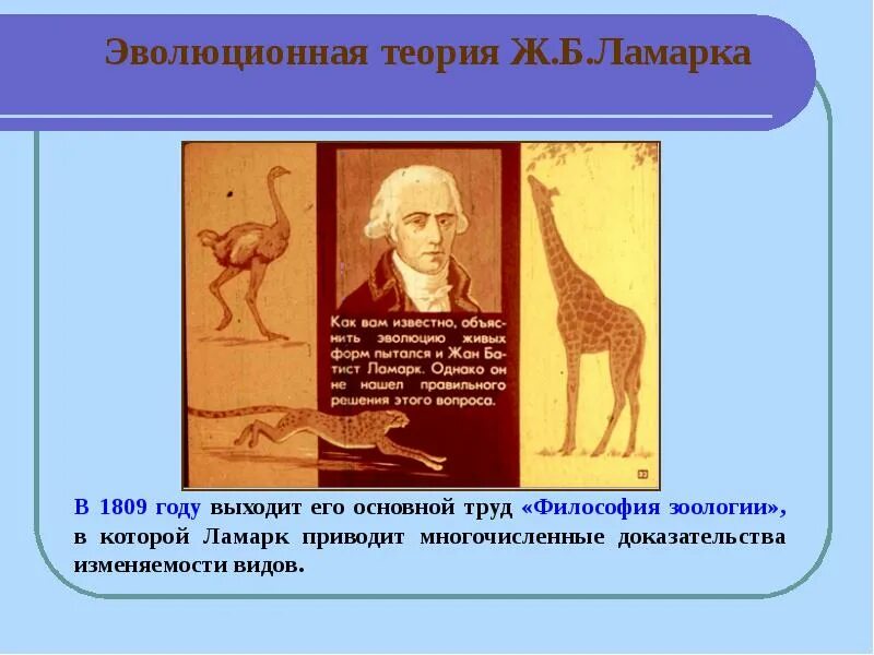 Эволюционные теории тест. Эволюционная теория ж б Ламарка 9. Биология Эволюция Ламарк. Концепция эволюции Ламарка. Зарождение эволюционных представлений.