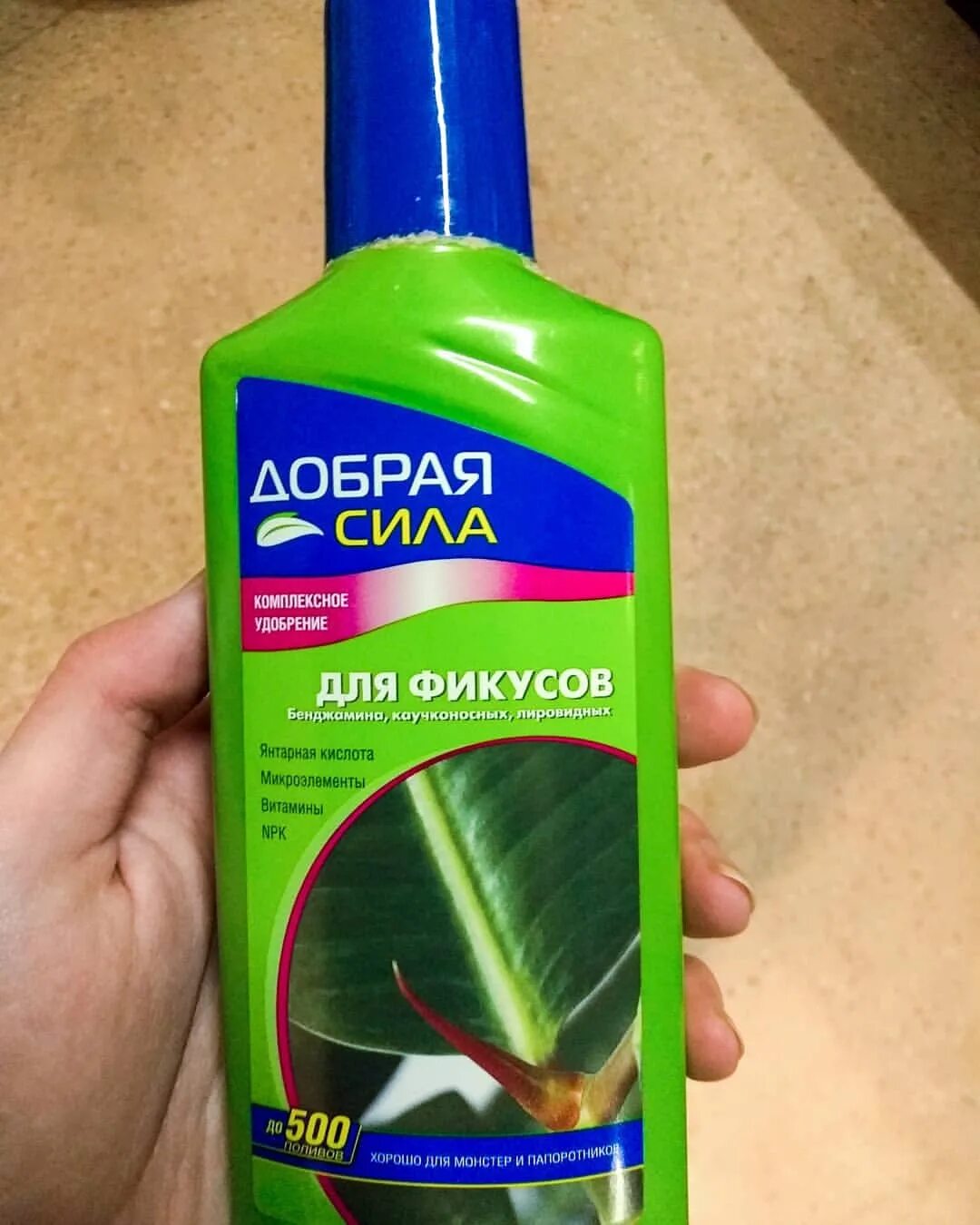 Цветок листья как ногти. Чем побрызгать фикус чтобы листья блестели. Удобрение для цитрусовых 285мл. Удобрение для фикуса бенджамина. Янтарная кислота для петунии дозировка.