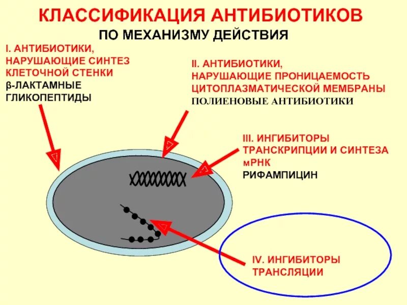 Сроки действия антибиотиков. Механизм действия антибиотиков. Механизм действия антибиотиков на бактериальную клетку. Сроки действия антибиотиков. Классификация антибактериальных препаратов.