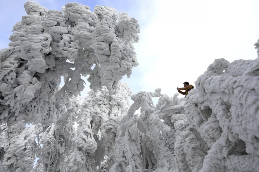 Интересные фото. Фото Мороз необычные кадры. Необычные фото 2023 зимой. Удивительные фото из Сахабулта. Ветер новый год