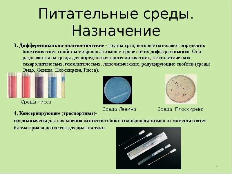 Т среда. Дифференциально-диагностические питательные среды микробиология. Консервирующие питательные среды. Питательная среда для микроорганизмов. Тканевые питательные среды