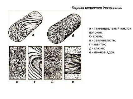 Пороки древесины картинка