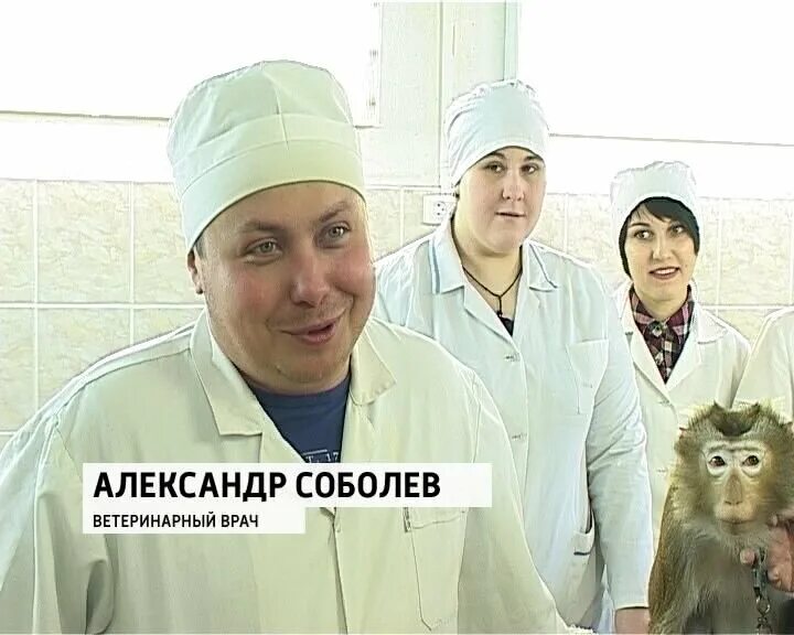 биосфера ветеринарная клиника тутаев. ветеринарный врач киров. ветеринарный врач киров. биосфера ветеринарная клиника киров. татьяна беляева киров ветеринар.