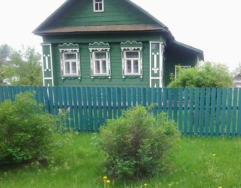 Авито навля