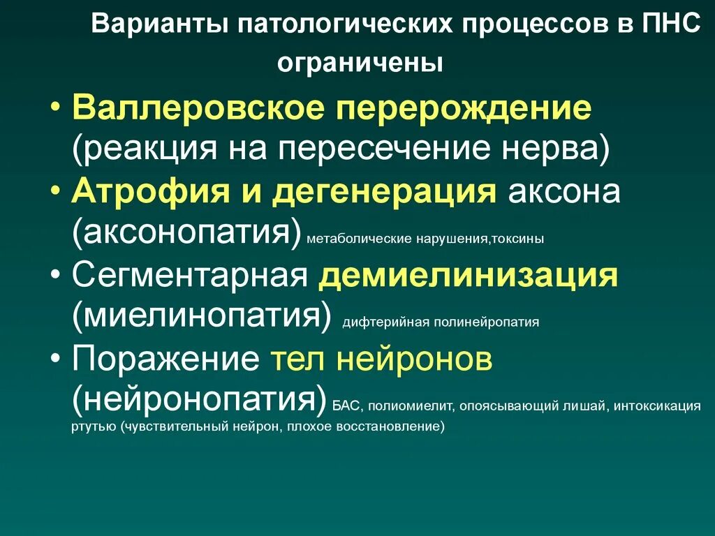 Валлеровское Перерождение нерва. Реакция дегенерации неврология. Реакция перерождения в неврологии. Валлеровская дегенерация нерва.