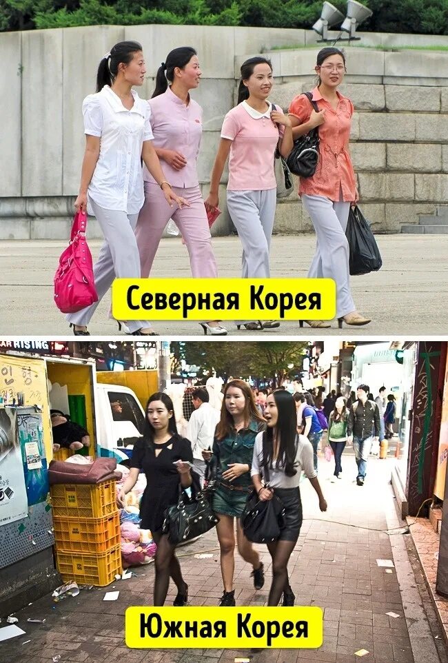 Чем отличается южная корея от северной кореи. Северные безлесные зоны презентация. Чем отличаются северные. Чем отличаются северные. Северные и южные алтайцы.