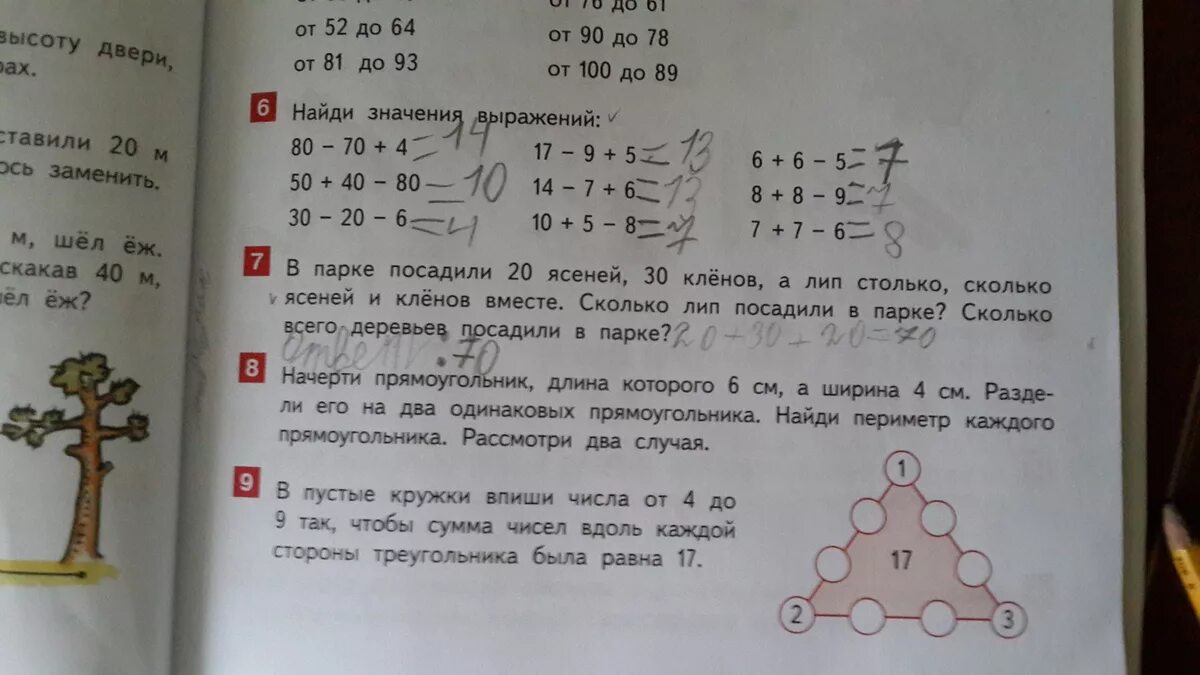 7 36 1 15. В парке росли берёзы и липы задача. В парке посадили липы и клены. В парке было 6 лип Кленов в 2 раза. На делянку высадили саженцы лип клёнов и каштанов лип.