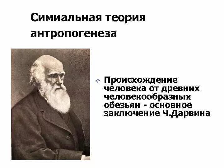 Гипотеза дарвина. Симиальная теория Дарвина. Симиальная теория ч. Дарвина. Гипотеза Дарвина о происхождении. Симиальная теория антропогенеза.