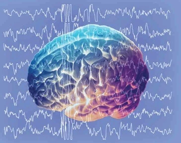 Электрическая активность мозга. Бета ритм головного мозга. Альфа ритм мозга. Волны мозга человека.