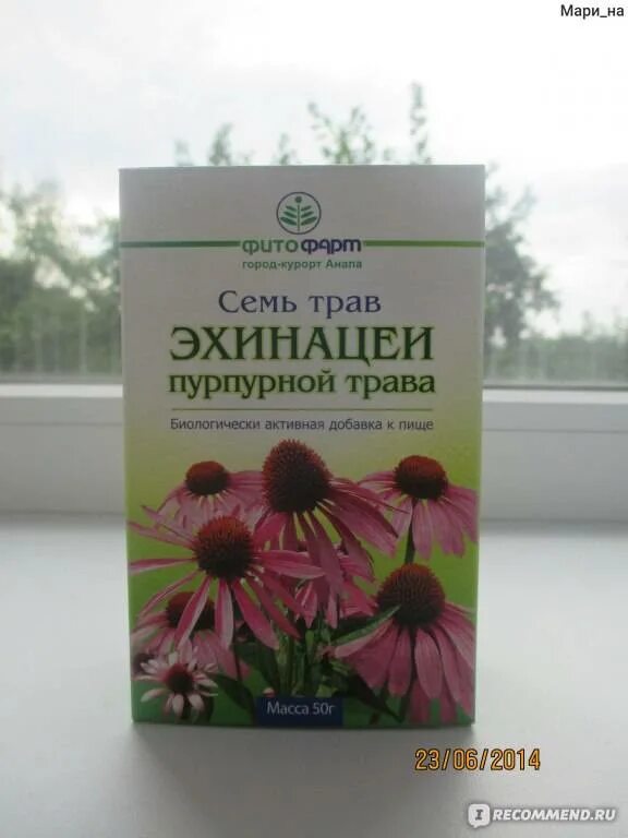 Трава для иммунитета эхинацея. Эхинацея пурпурная трава. Эхинацея пурпурная трава препараты. Эхинацея измельченная трава.