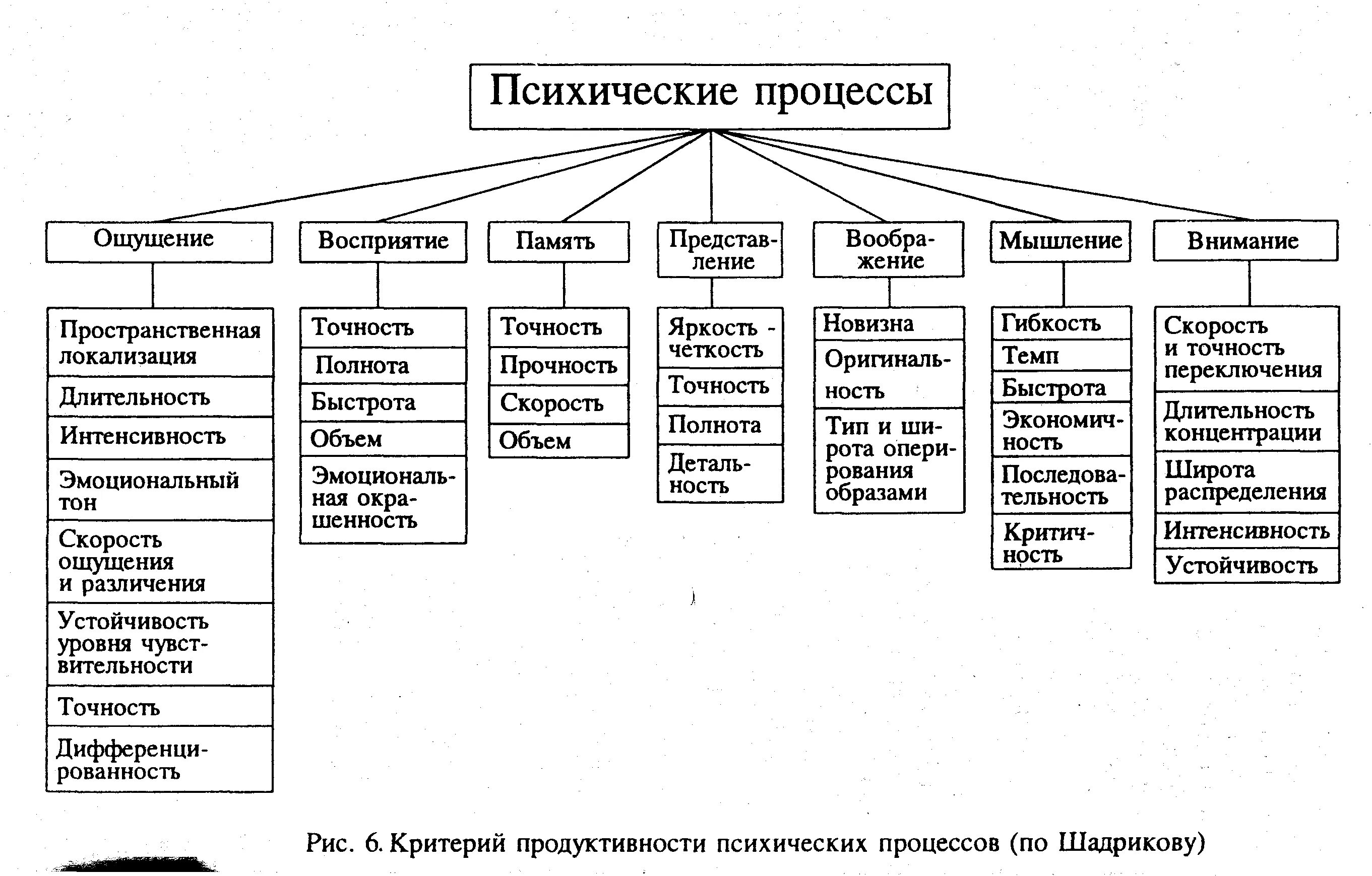 Психические и психические процессы. Психические процессы в психологии. Приведите в соответствие психические процессы и их закономерности:. Психические процессы таблица. Направление психических процессов.