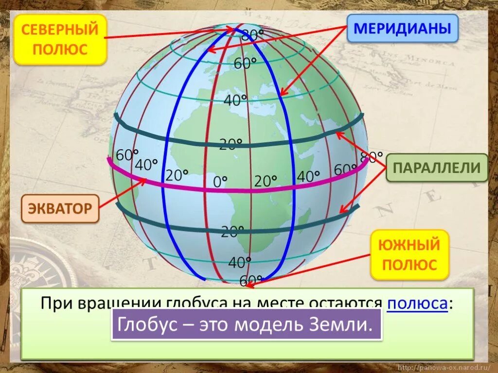 Как расположена евразия относительно меридиана. Экватор Северный и Южный полюс. Меридиан параллель полюс Экватор на глобусе. Параллели и меридианы. Меридианы на глобусе.