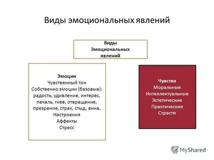 Понятие и определение эмоций
