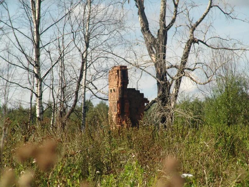 Село никольское ярославская область. Правдино ленинградская область. Правдино ярославская область некоузский. Правдино ленинградская область. Церковь покрова пресвятой богородицы село веретея.