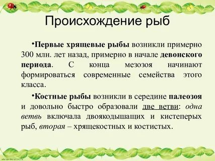 Появление рыб
