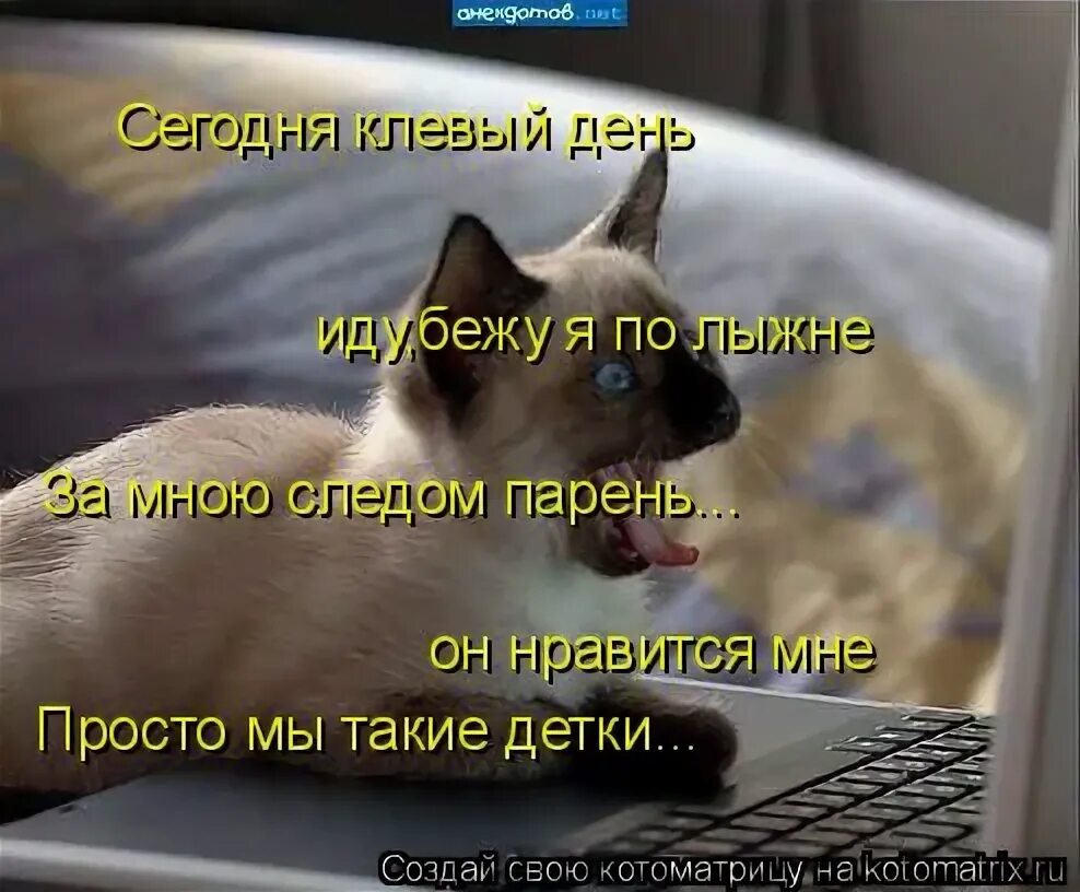 Привет мем. Вчера было клево сегодня мне грустно. Нормальнл всё? нормально!. С днем мем. Коротко о погоде мем.