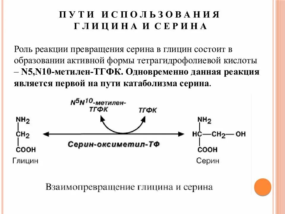 Напишите реакцию глицина