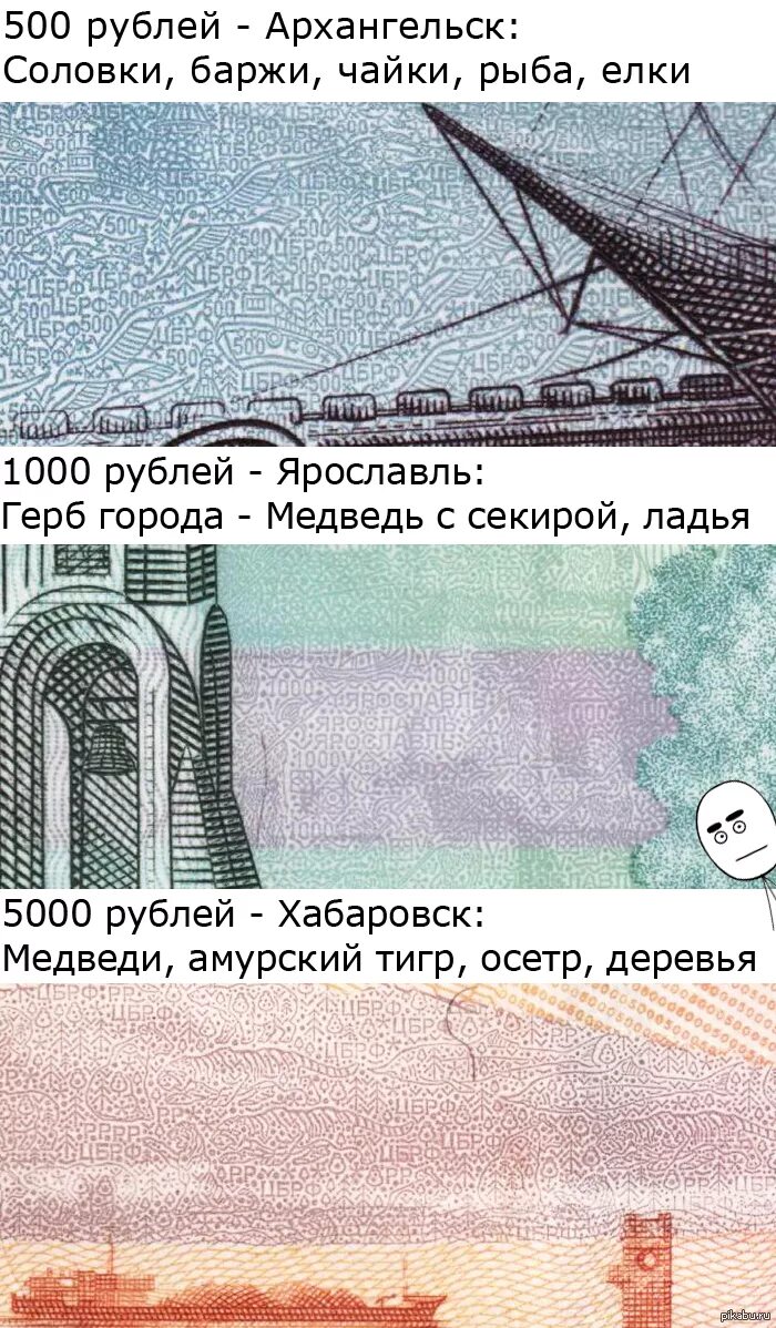 Нить на купюре. Животные на 5000 купюре. 5000 Рублей звери на купюре. Графические изображения денежных знаков. Купюра 5000 рисунок.