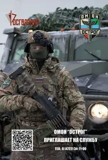 Ополчение 31