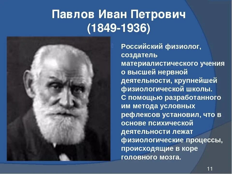 Известному русскому ученому физиологу павлову принадлежит