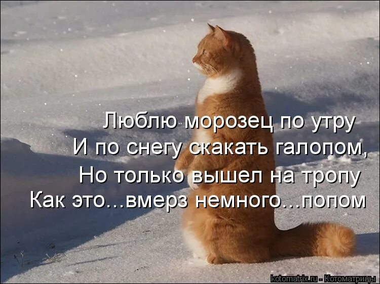после приеду работы. после приеду работы. лиса до отпуска и после отпуска. лис до и после отпуска. скоро домой с работы прикольные.