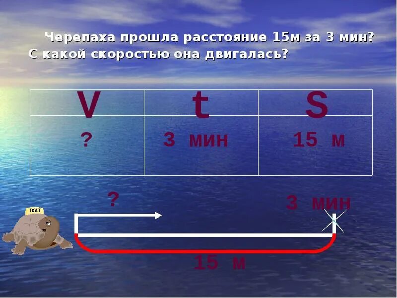 Движение м. Черепаха движется со скоростью. проект задачи на движение. скорость движения черепахи. скорость движение расстояние.
