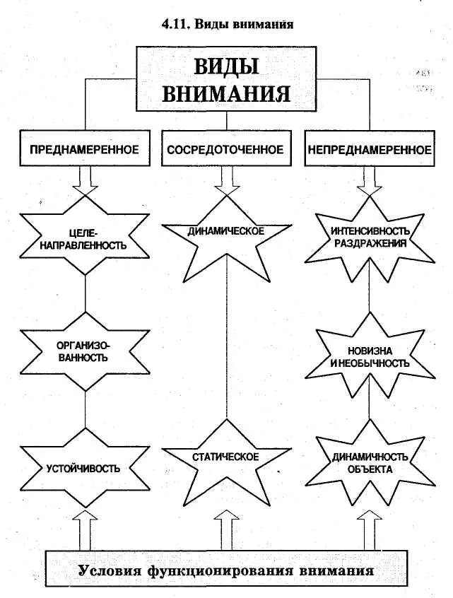 Элементы внимания. Процессы внимания в психологии таблица. Виды внимания в психологии схема. Виды внимания в психологии таблица. Схема виды внимания и их функции.